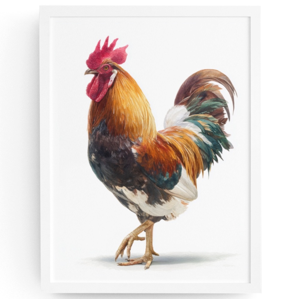 Watercolor Rooster Portrait Wall Art Print Poster, Unframed - Bird Illustration